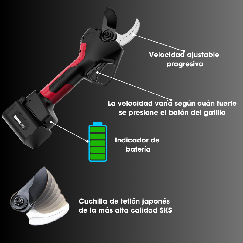 Velocità