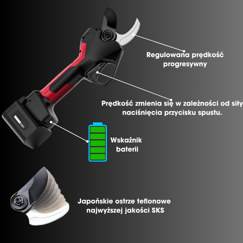 Velocità
